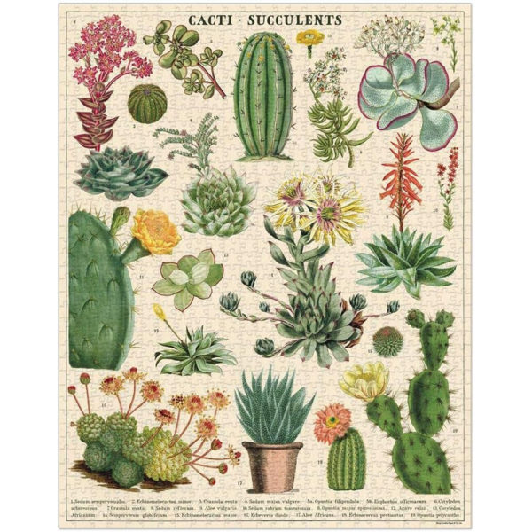 Cacti & Succulents, Vintage Puzzle: rompecabezas 1000 piezas