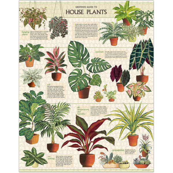 House Plants, Vintage Puzzle: rompecabezas 1000 piezas