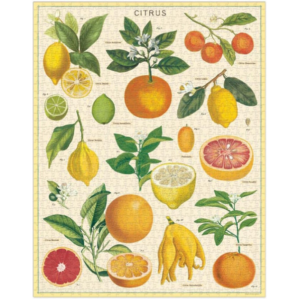 Citrus, Vintage Puzzle: rompecabezas 1000 piezas