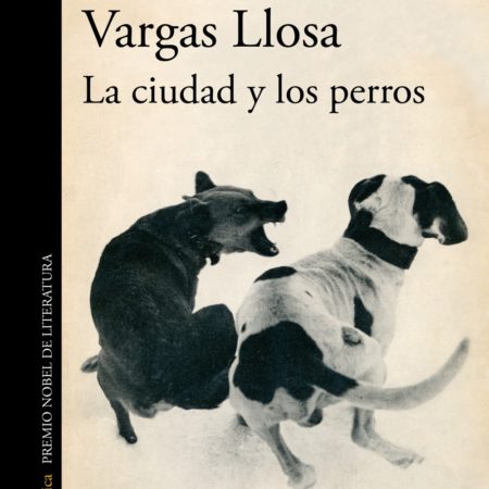 Ciudad y los perros, La