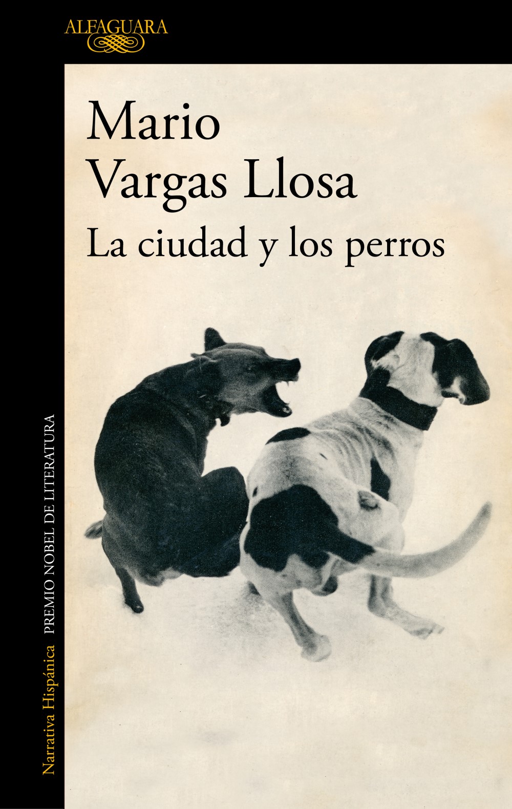 Ciudad y los perros, La
