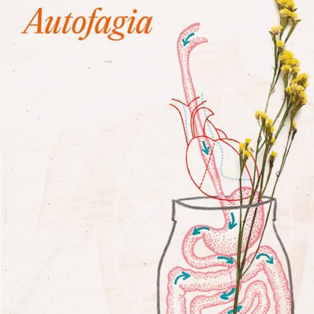 Autofagia