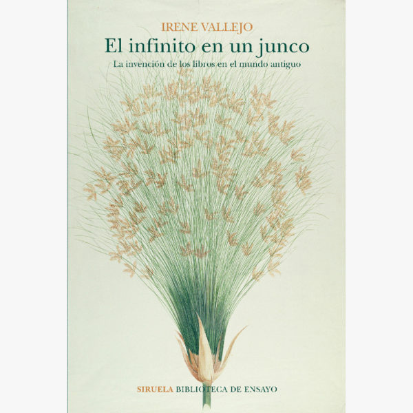 Infinito en un junco, El