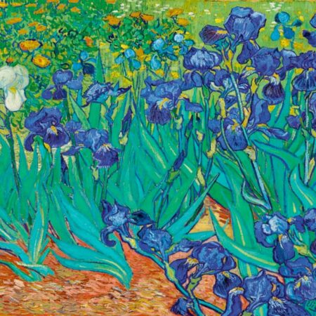 Van Gogh’s Irises, Puzzle: rompecabezas 1000 piezas (PA8240-8)
