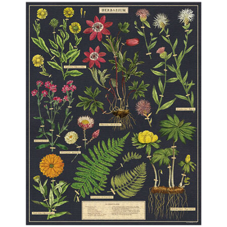Herbarium, Vintage Puzzle: rompecabezas 1000 piezas
